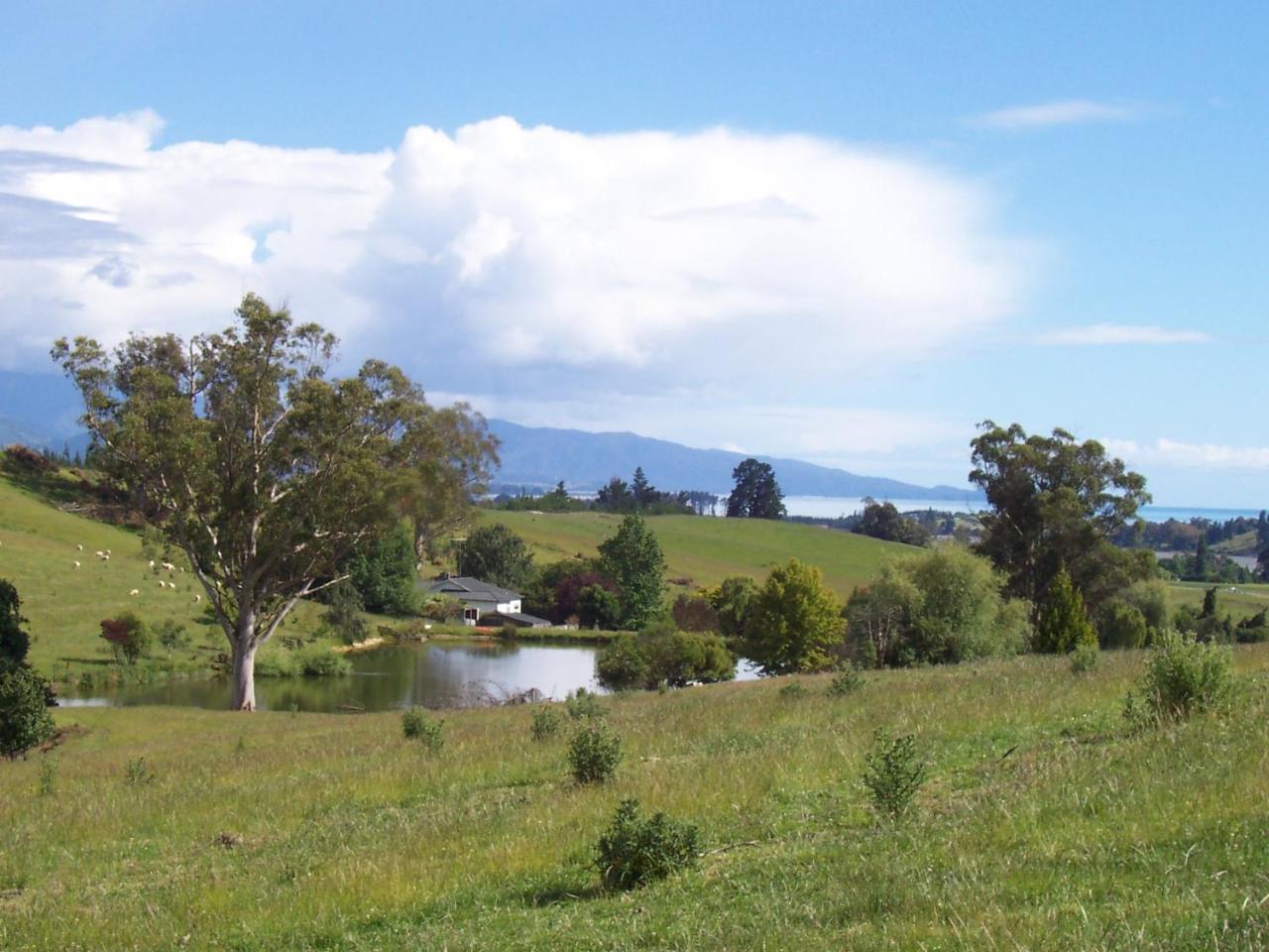 Tasman Farmstay Retreat Glenmhor Esterno foto